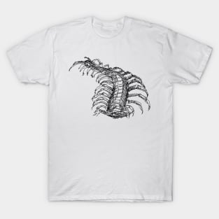 Centipede drawing T-Shirt